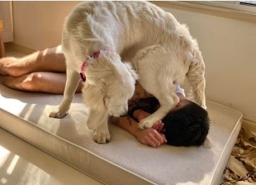 Visco-elastische hondenmatras