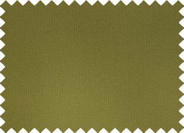 Kunstleer Nautisch Caraïben Grasgroen