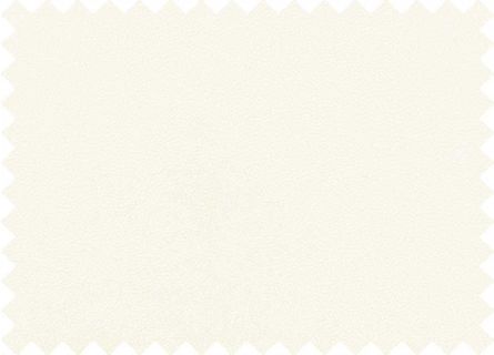 Kunstleer Binnen Economisch Wit