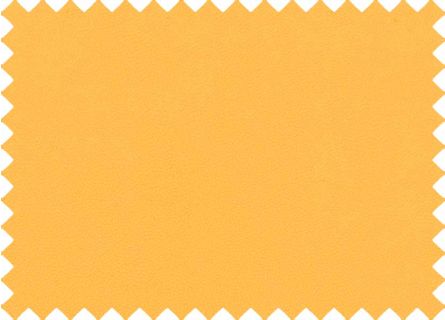 Kunstleer Binnen Economisch Oranje