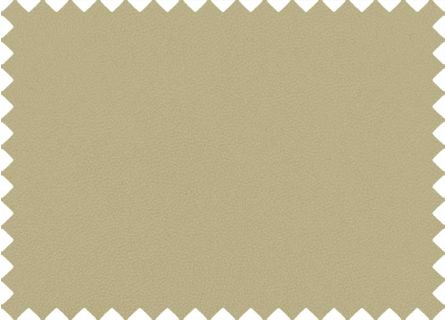 Kunstleer Binnen Economisch Steen